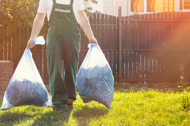 Best Construction Debris Removal  in Brandywine, MD