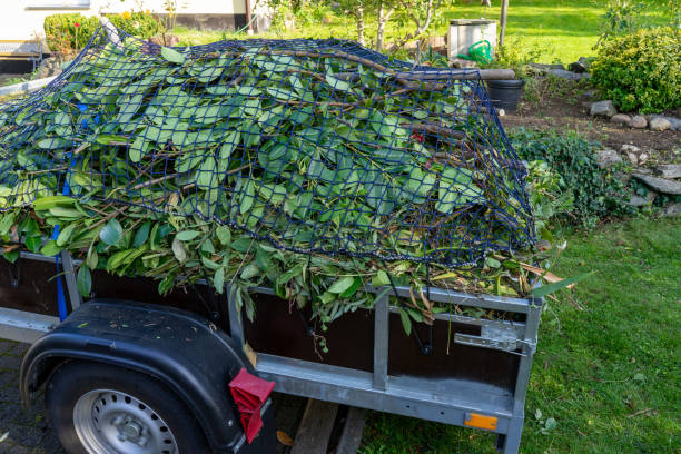 Best Commercial Junk Removal  in Brandywine, MD